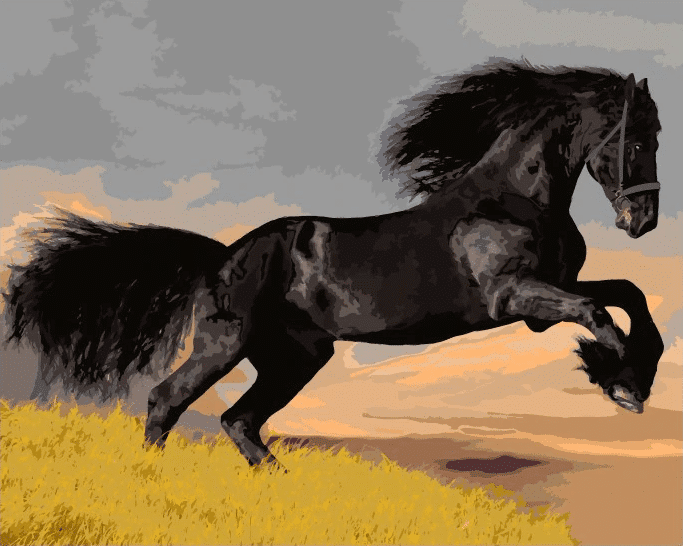 Black Horse Paint By Numbers
