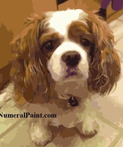 Personalized dog paint by number