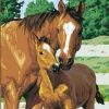 Abstract Horse And Baby Paint By Number