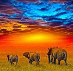 African Safari Elephants Paint By Number