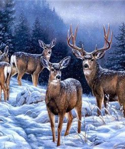 Alaska Deers Paint By Number