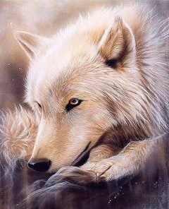 Alaskan Gray Wolf Paint By Number