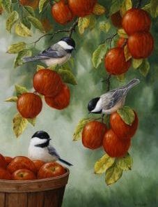 Apple Tree With Bird Paint By Number