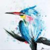 Tern Bird Paint By Number