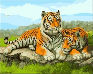 Ashian Tigers Paint By Number