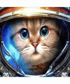 Astronaut Cat Paint By Number