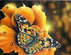 Autumn Butterfly Paint By Number