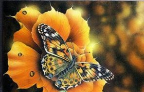 Autumn Butterfly Paint By Number
