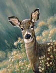 Autumn Fawn Deer Paint By Number