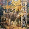 Autumn Forest Deers Paint By Number