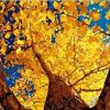 Autumn Ginkgo Paint By Number