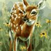 Baby Deer Paint By Number