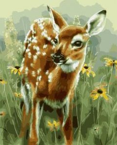 Baby Deer Paint By Number
