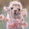 Baby Llama Paint By Number