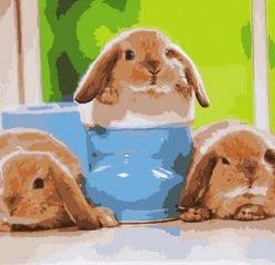 Baby Rabbits Paint By Number