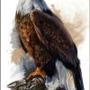 Bald Eagle On Tree Paint By Number
