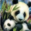 Bamboo Panda Paint By Number
