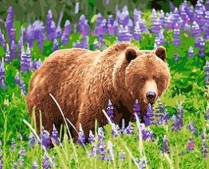 Bear In A Lavender Field Paint By Number