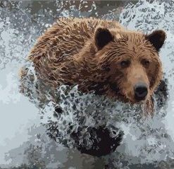 Bear On Water Paint By Number