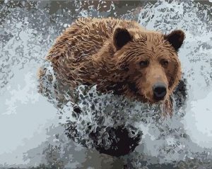 Bear On Water Paint By Number