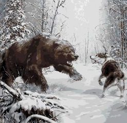 Bear Vs Wolf Paint By Number