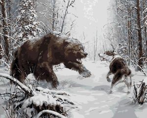 Bear Vs Wolf Paint By Number