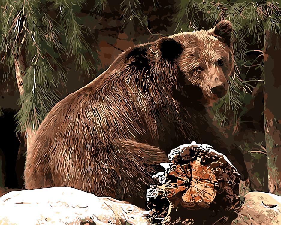 Bear In The Forest Paint By Numbers