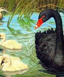 Black Duck Paint By Number