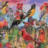 Birds At Garden Paint By Number