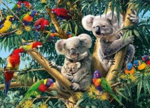 Birds & Koalas Paint By Number