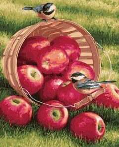 Birds On Apple Basket Paint By Number
