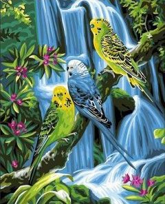Birds On Jungle Paint By Number