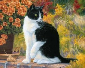Black And White Cat Paint By Number
