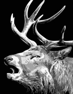Black And White Elk Paint By Number