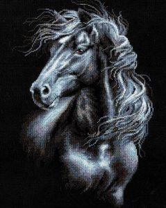 Black And White Horse Paint By Number