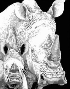 Black And White Rhino Paint By Number