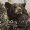 Black Bear In Forest Paint By Number