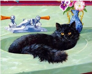 Black Cat In A Bath Paint By Number