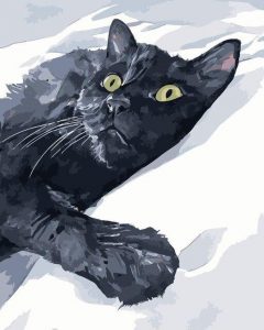 Black Cat In Snow Paint By Number