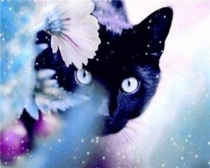 Black Cat In The Flowers Paint By Number
