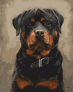 Black Dogs Paint By Number