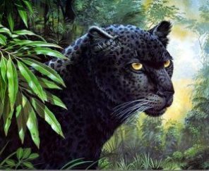 Black Leopard Paint By Number