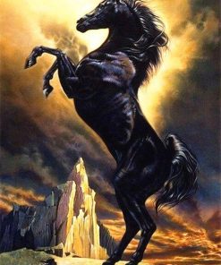 Black Arabian Horse Paint By Number