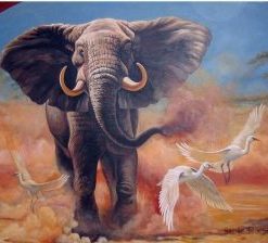 African Bull Elephant Paint By Number