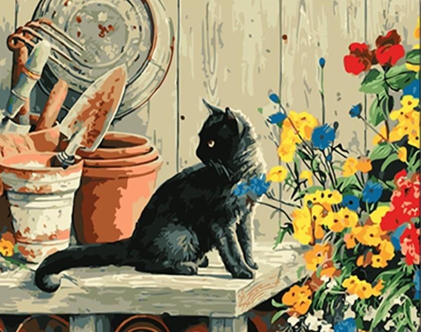 Black Cat On Table Paint By Numbers
