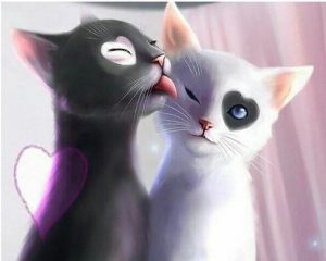 Cats In Love Paint By Number