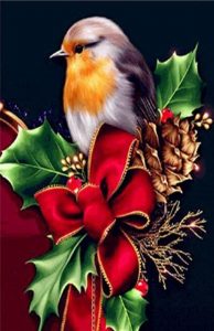 Christmas Robin Bird Paint By Number