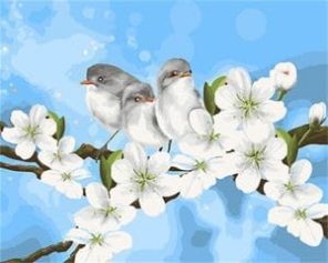 Cute Birds With Flowers Paint By Number