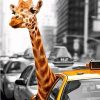 Giraffe in Taxi paint by numbers