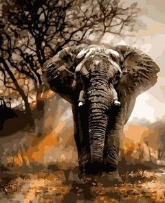 African Elephant Paint By Number